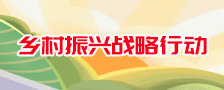 乡村振兴战略行动